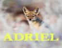 JackalAdriel-bicubic.jpg