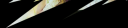 BCV1Bottom.png