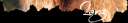 BCV2.png
