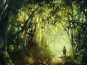 the_forest_stray_by_nuriko_kun-d61eu3s.jpg