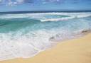 Beach_and_Sea_of_Hawaii_JY159_350A.jpg