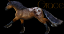 Grace2.png