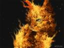 704x528_3880_Firecat_2d_fantasy_cat_flame_wallpaper_picture_image_digital_art.jpg