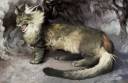 900x586_2596_My_Dragon_Cat_2d_fantasy_cat_dragon_picture_image_digital_art.jpg