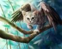 1627644-bigthumbnail.jpg