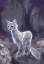 animals,cat,fantasy,garden,kitten,kitty-d6d81f1f86f7c739e4c1606213d92078_h.jpg