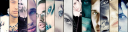 Synopsis banner.png
