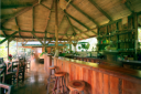 Jungle Cafe.png