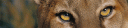 re.gif