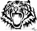 tigerr.jpg