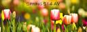 Spring 514 AV.jpg