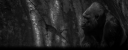 prid box new.png