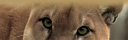 Untitled-5.png
