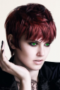 sassooon_short_hair.png