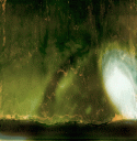 Mental_landscape-8.GIF.gif