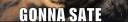 Gonna Sate.jpg