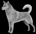 dog2.png