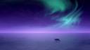 Aurora-Borealis-1350x2400.jpg