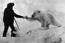 polar_bear_north_pole_1.jpg