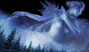 11f590ad2cf0934ffcb723f62bd24aed-d6yaxet.png