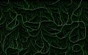 Vines.jpg
