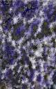 moss-in-purple-ron-bissett.jpg