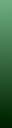 green witch.jpg