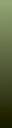 new green witch.jpg