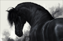 __black_horse___by_whitespiritwolf-d37045x.png