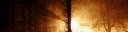 nightmare-before-christmas-guildwars-halloween-wallpaper-330482.jpg