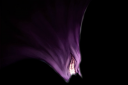 nightmare top.png