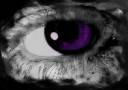 eye2xmoixsxc.jpg