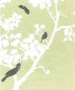 bird-background-no-text_504x600.jpg