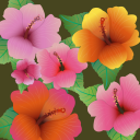 flower.png