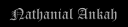 natebot.png