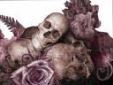 rose-skull3.jpg