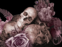 roses-skulls.png