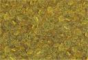 gold coins.jpg