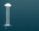 Jellyfish.jpg