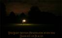 light-up-the-dark-2.jpeg