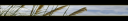 minim_banner_grass_02.png