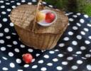 picnic2.jpg