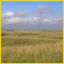 khida_summer_512.jpg