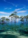 wallpapers-of-island-Andaman-and-Nicobar-Islands-India.jpg