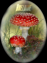 small_mushrooms-HD1.png