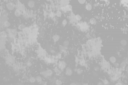 back.png
