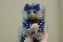 finger_monkeys_02.jpg