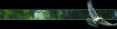 minim_banner_raven.png