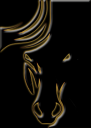 whoswhotransparent.png