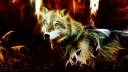 wolf_fractal_by_hemamm-d5huxyk.jpg